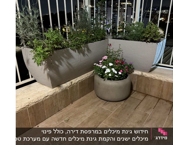 עציצים עם צמחים על מרפסת בלילה